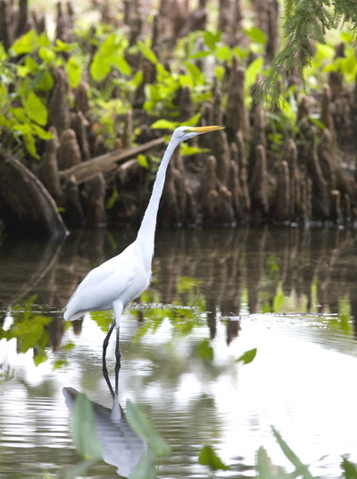 greategret.jpg